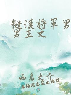 糙汉将军男主双男主文