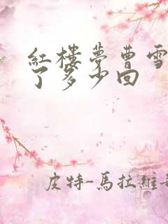 红楼梦曹雪芹写了多少回