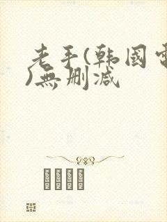 老手(韩国电影)无删减