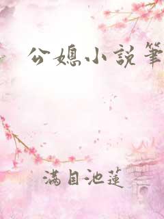 公媳小说笔趣阁