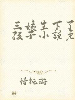 三姨生下了我的孩子小说免费阅读