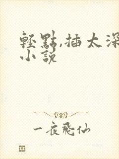 轻点,插太深了小说