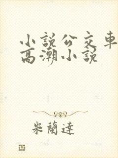 小说公交车被上高潮小说