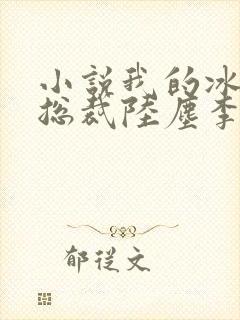 小说我的冰山女总裁陆尘李清瑶