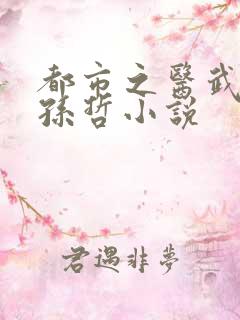 都市之医武风流孙哲小说