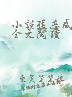 小说张志成陈莉全文阅读