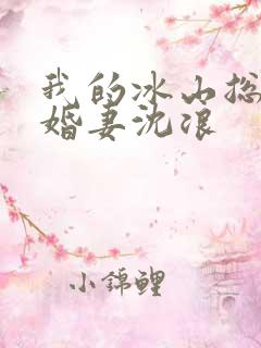 我的冰山总裁未婚妻沈浪