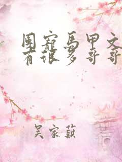 团宠马甲文女主有很多哥哥