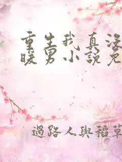 重生我真没想当暖男小说免费阅读