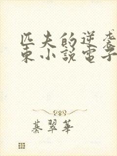 匹夫的逆袭刘汉东小说电子书全集