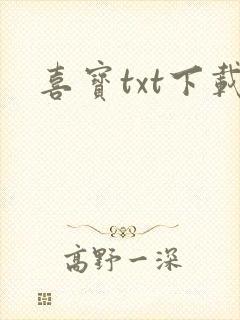 喜宝txt下载