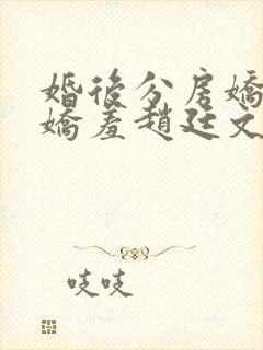 婚后分房娇夫别娇羞赵廷文方允全集阅读