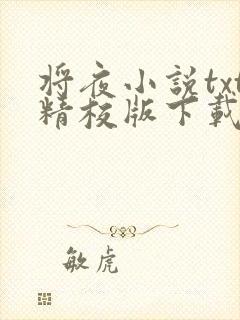 将夜小说txt精校版下载
