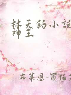 林天的小说十方神王