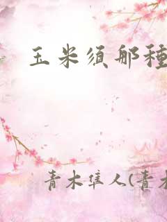 玉米须那种最好