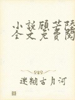 小说顾芒陆承洲全文免费阅读全文