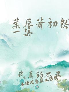 叶辰萧初然最后一集