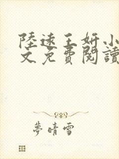 陆远王妍小说全文免费阅读