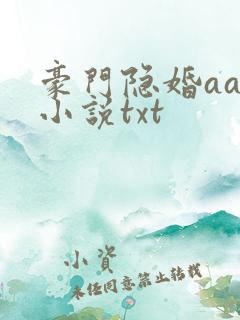豪门隐婚aa制小说txt