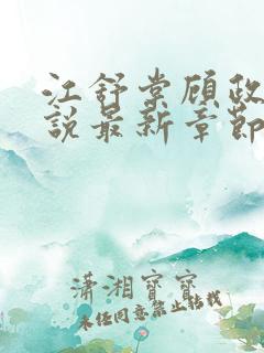 江舒棠顾政南小说最新章节