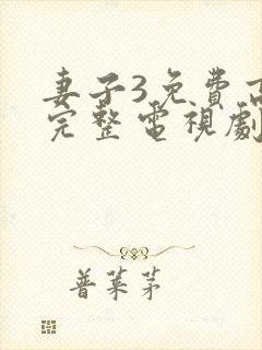 妻子3免费高清完整电视剧情