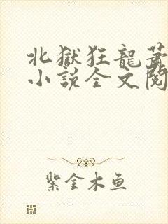 北狱狂龙萧擎天小说全文阅读