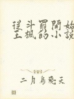 从斗罗开始打卡王枫的小说