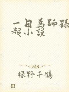 一日为师孙敏张超小说