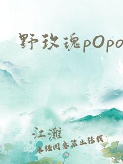 野玫瑰pOpo