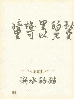 暗格里的秘密哪里可以免费观看