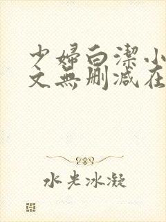 少妇白洁小说全文无删减在线阅读