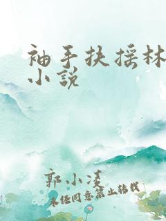 袖手扶摇林凡的小说