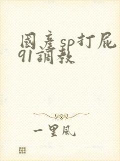 国产sp打屁股91调教