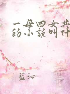 一母四女共一婿的小说叫什么