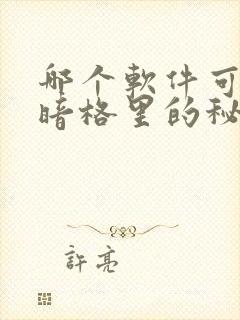 哪个软件可以看暗格里的秘密小说