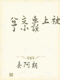 公交车上被乱操了小说