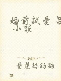 婚前试爱 吕颜 小说