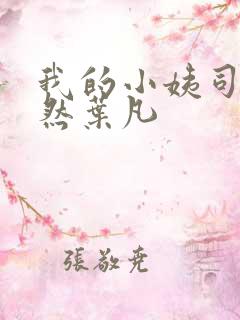 我的小姨司空嫣然叶凡