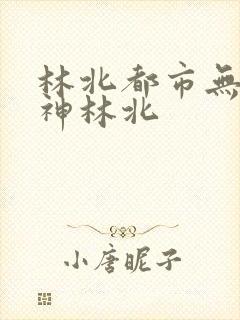 林北都市无敌战神林北