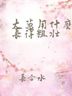大葱用什么肥料长得粗壮