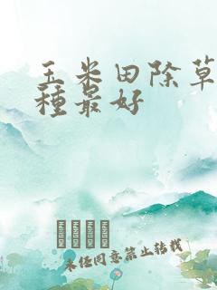玉米田除草剂哪种最好