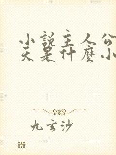 小说主人公杨小天是什么小说