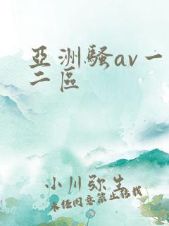 亚洲骚av一区二区