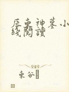 辰东神墓小说在线阅读