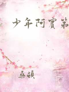 少年阿宾第二章