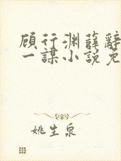 顾行渊薛辞盈沈一谋小说免费