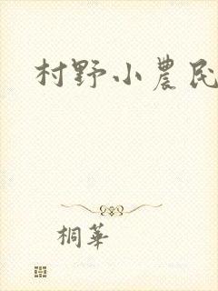 村野小农民小说