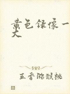黄色录像一级片大