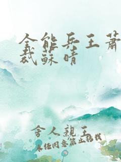 全能兵王萧晨总裁苏晴