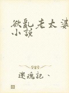 欲乱老太婆系列小说